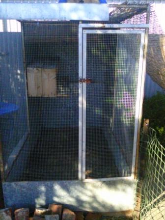 chicken coup 27032011  2.jpg