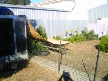 chicken pen 27032011   3.jpg