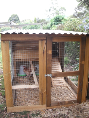 Chook Mansion.jpg