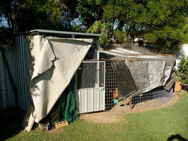 Hen House and Court Yard.JPG