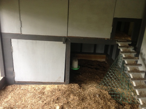 Siesta area under hen house.jpg