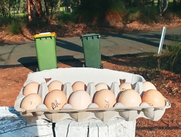 Bin Day 120923.jpg