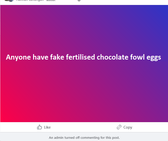 fake chocolate.png