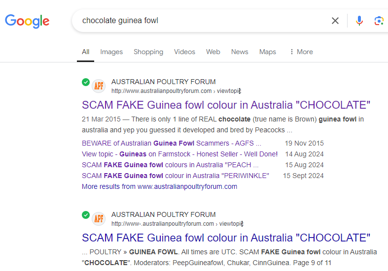 google search results2.png